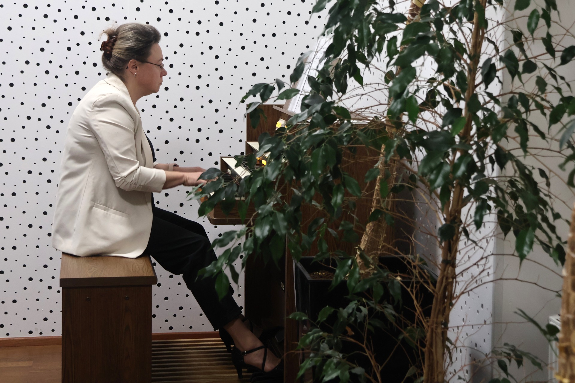 Hana Řeřichová - Jan Křtitel Kuchař: Pastoralle C Dur, J. J. Ryba: Vánoční píseň A Dur